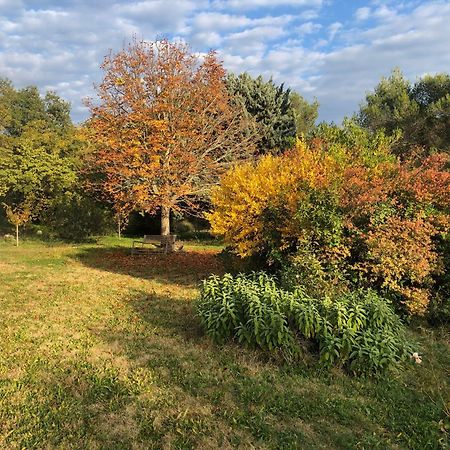Le Domaine De Gaia Daire Aix-en-Provence Dış mekan fotoğraf