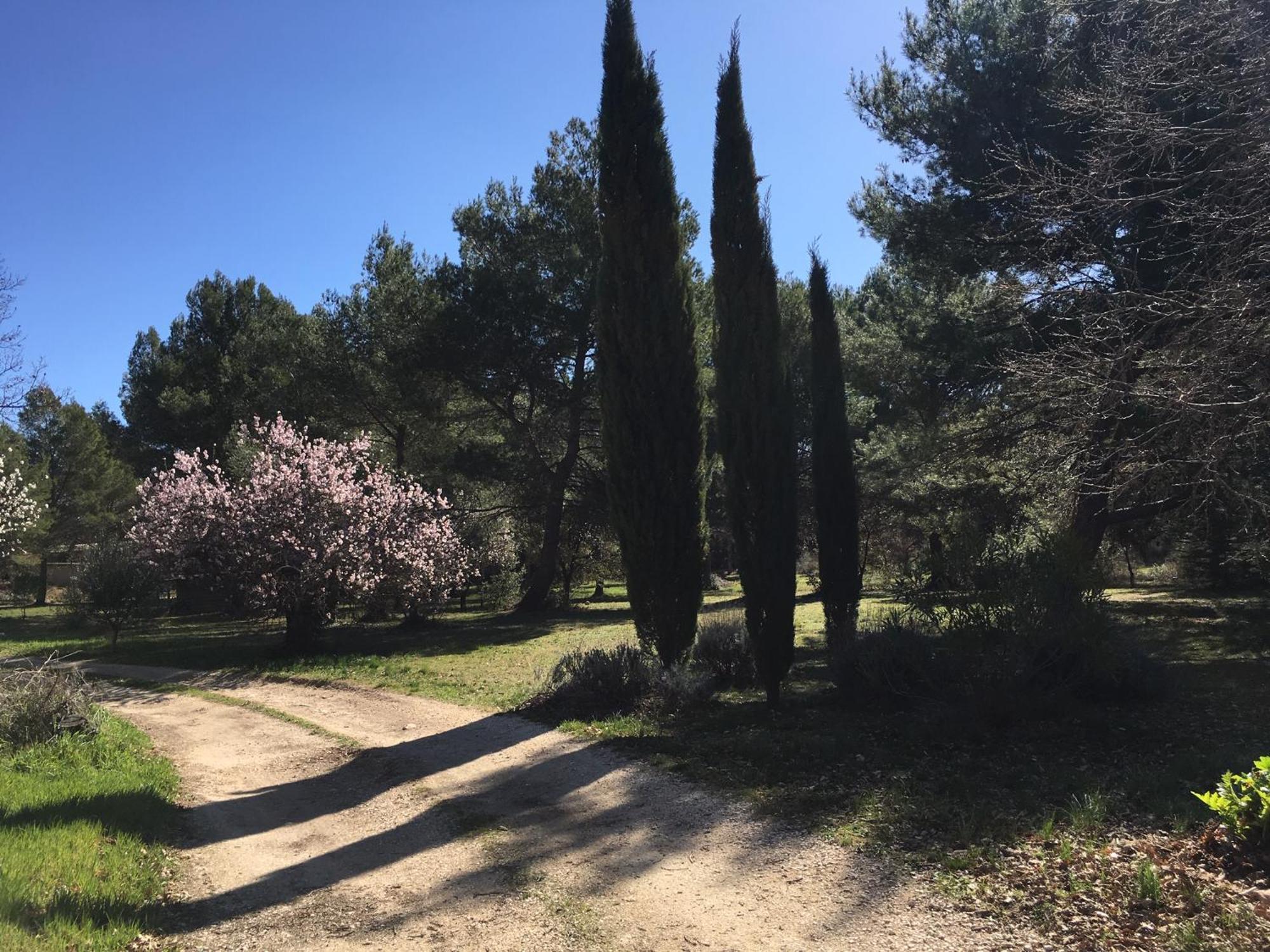 Le Domaine De Gaia Daire Aix-en-Provence Dış mekan fotoğraf